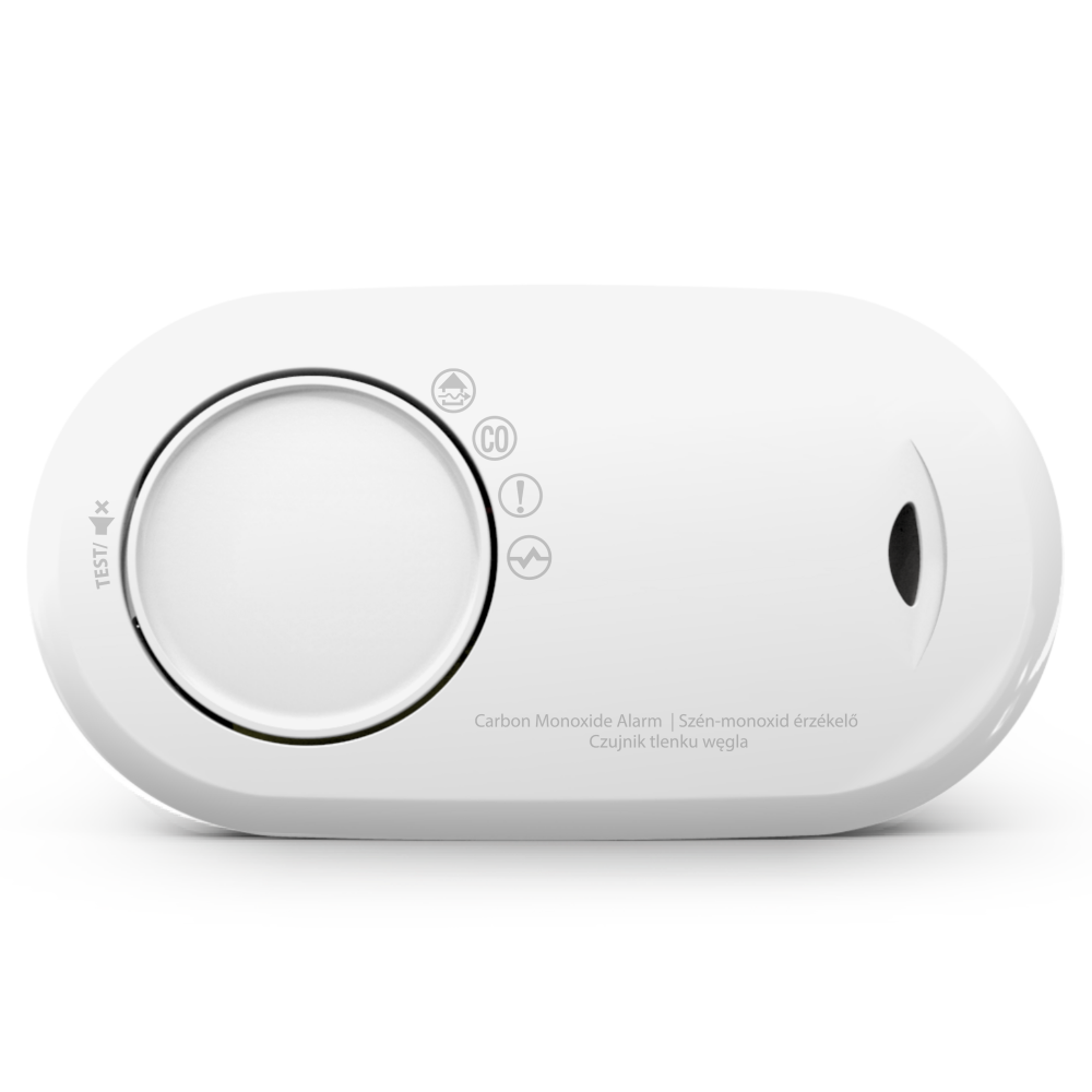 Image de Détecteur de monoxyde de carbone pile 10 ANS